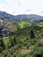 avslöja de eterisk prakt av de berg rike, en resa in i de hjärta av naturens hisnande skönhet och lugn foto