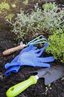 trädgård handskar och trädgård verktyg på svart jord blomma sängar. framställning landa för plantering växter i de trädgård. foto
