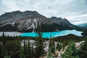 majestätisk peyto sjö i alberta, kanada med fantastisk turkos vatten foto