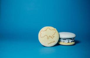 macarons i form Kartor av ukraina foto