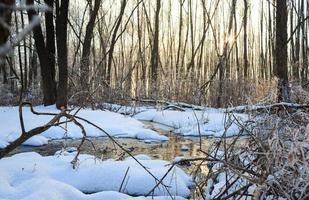 vinter- landskap med bäck i skog foto