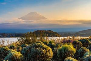 landskap vid Mt. fuji, yamanashi, japan foto