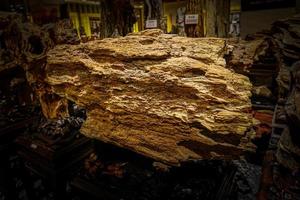 förstenad trä i xinjiang, Kina, detta skön fossil fortfarande hävdar de original- utseende av de trunk foto