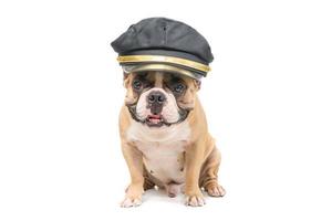 söt franska bulldogg ha på sig polis hatt isolerat på vit bakgrund, foto