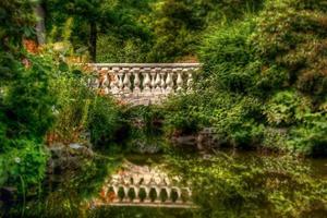 trädgård reflekterande slå samman foto