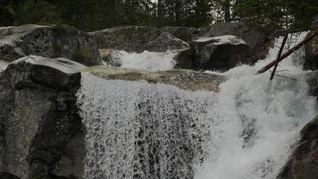 naturskön se av vattenfall i skog foto