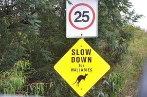 wallabie väg tecken i Australien foto