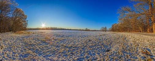 panorama- bild över snöig äng med träd foto