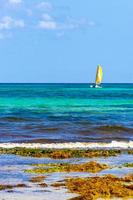 segling båtar yachter fartyg brygga playa del carmen strand Mexiko. foto