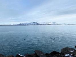 en se av de sjöfrukt på reykjavik i island i de vinter- foto