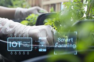 de begrepp av ny jordbruk eller smart jordbruk, jordbruks teknologi foto