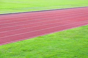 löpning Spår och grön gräs, direkt friidrott löpning Spår på sport stadion foto