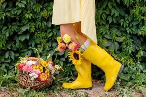 fötter i gul sudd stövlar med höst blommor nära de vingård foto