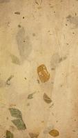 gammalt mullbärspapper med bladtexturbakgrund foto