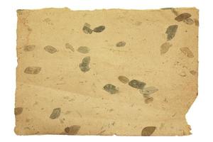 gammalt mullbärspapper med blad som isoleras på en vit bakgrund