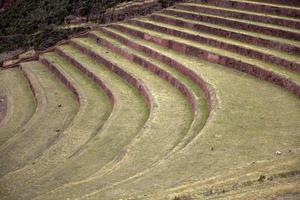 jordbruks terrasser i Pisac, Peru foto
