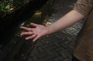 ett ung man eller kvinna hand med öppen handflatan ärm gest utgör isolerat Foto på utomhus- tegel golv se.