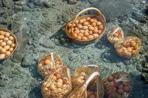 närbild och beskära kyckling ägg i korg av turister kokt i mineral och naturlig varm vatten på chae son nationell parkera, lampang, thailand. foto