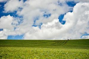 de ändlös, grönskande kalajun prärie i xinjiang foto