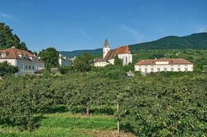 vin by av spitz, wachau dalen, lägre österrike foto