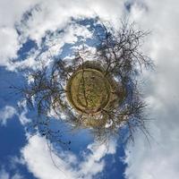 liten planet sfärisk panorama 360 grader. sfärisk flygfoto i blommande äppelträdgård med maskrosor. utrymmets krökning foto