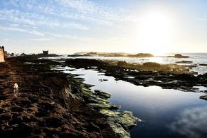 solnedgång över havet foto