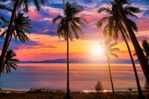 silhuett av kokospalmer på stranden vid solnedgången. vintage ton. foto