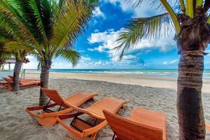strand stolar och kokos handflatan träd med blå himmel bakgrund på de tropisk strand på dagtid foto