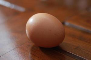 en stänga upp av en kyckling ägg foto