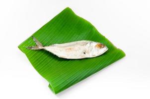 färsk makrill eller tonfisk ångad fisk på banan grön blad från hav på vit bakgrund foto