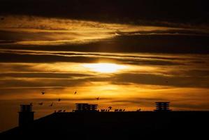 silhuett av byggnader under molnig himmel under gyllene timmen foto