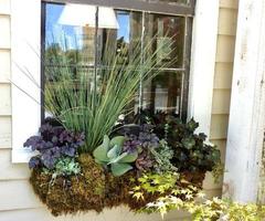 skön fönsterlåda med begonia, suckulenter och gräs foto