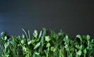 Foto grönska på en mörk trä- bakgrund, friska mat, kvistar av växter, botten