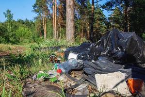 sopor dumpa i de skog, lugg av hushåll avfall, skogar förorening foto