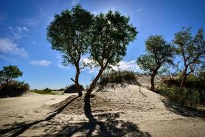 utforska de by av lop nur människor i xinjiang foto