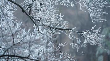 de skön frysta bergen se täckt förbi de vit snö och is i vinter- foto