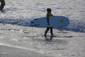 surfare få redo till stiga på de vatten och gående med de styrelse längs de Strand. foto