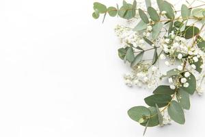 bebis andetag Gypsophila blommor, färsk grön eukalyptus löv på vit bakgrund. foto