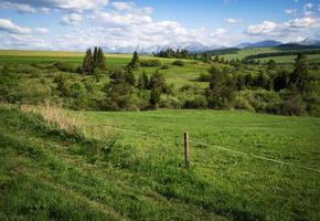 bergslandskap med ängar foto