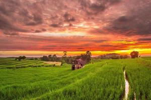 skön morgon- se Indonesien. panorama landskap irländare fält med skönhet Färg och himmel naturlig ljus foto