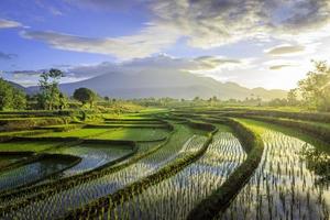 skön morgon- se Indonesien. panorama landskap irländare fält med skönhet Färg och himmel naturlig ljus