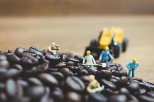 miniatyrfolk som arbetar på rostade kaffebönor foto