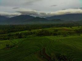 antenn se av grön ris terrasser i indonesien foto