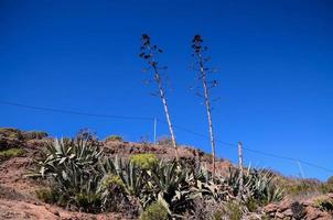 landskap på teneriffa, Spanien foto