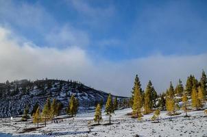 natursköna bergslandskap foto