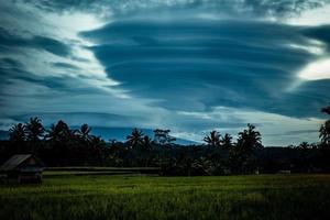 indonesiska ris bulle i de morgon- foto