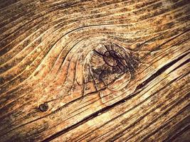 detalj av gammalt trä med knut foto