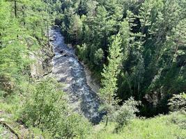 berg flod strömmande i en dal mellan en skog och en hög klippa, buryatia, ryssland foto