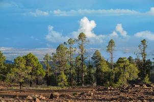 naturskön lantlig landskap foto