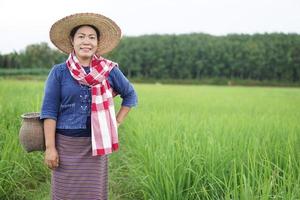 asiatisk kvinna jordbrukare är på irländare fält, bär hatt, blå skjorta och thai loincloth scarf, bära creel för förvaring fisk eller insekter. begrepp, lantlig långsam livsstil i thailand, tjäna levande från natur. foto